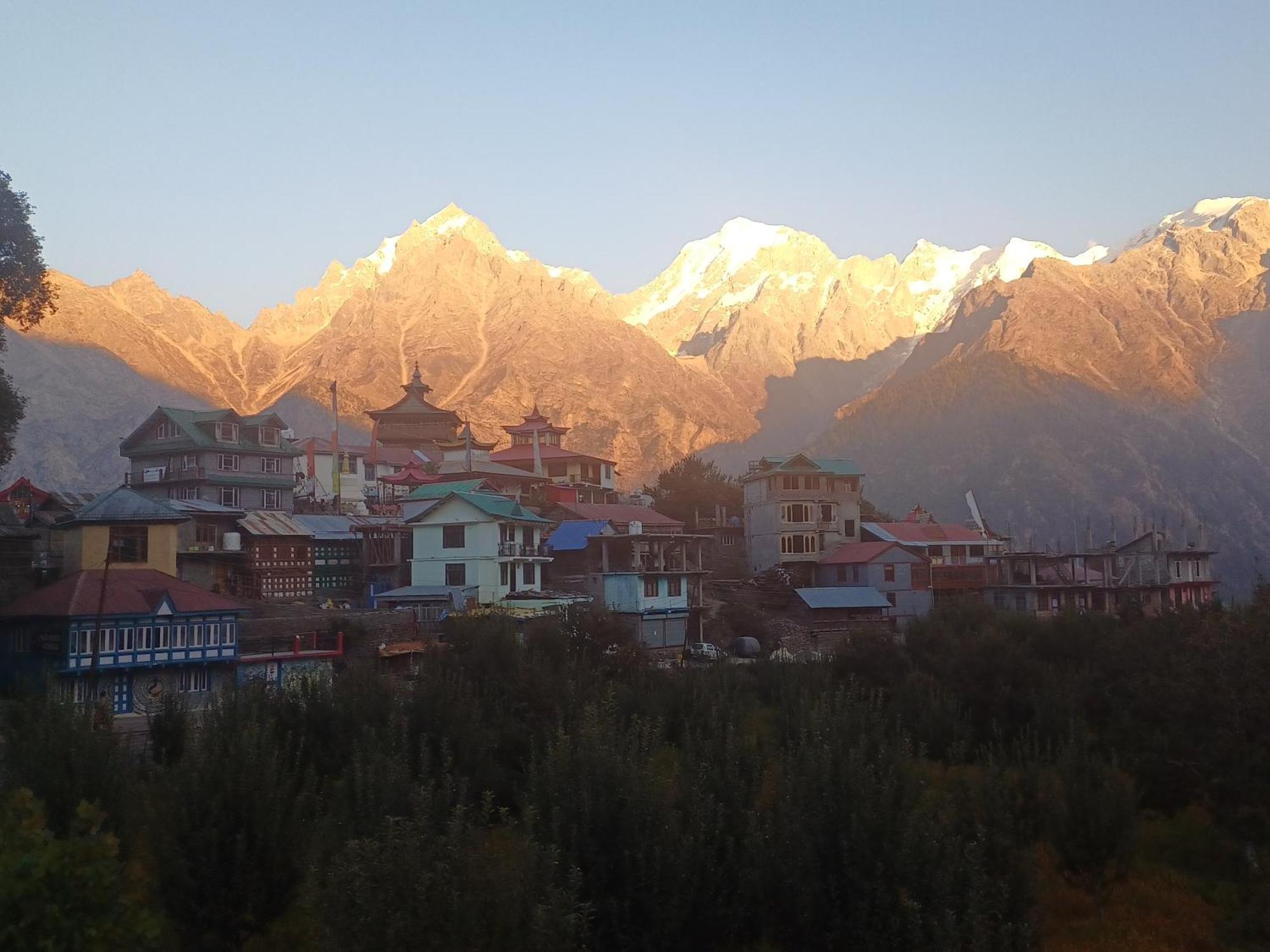 Pine View Retreat Homestay Kalpa Exterior foto